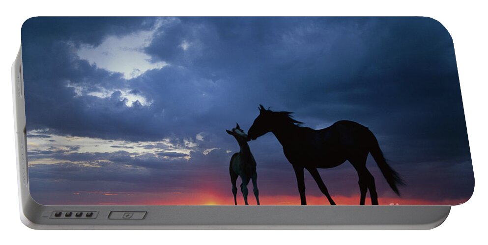00340054 Portable Battery Charger featuring the photograph Mustang and Foal at Sunset by Yva Momatiuk John Eastcott
