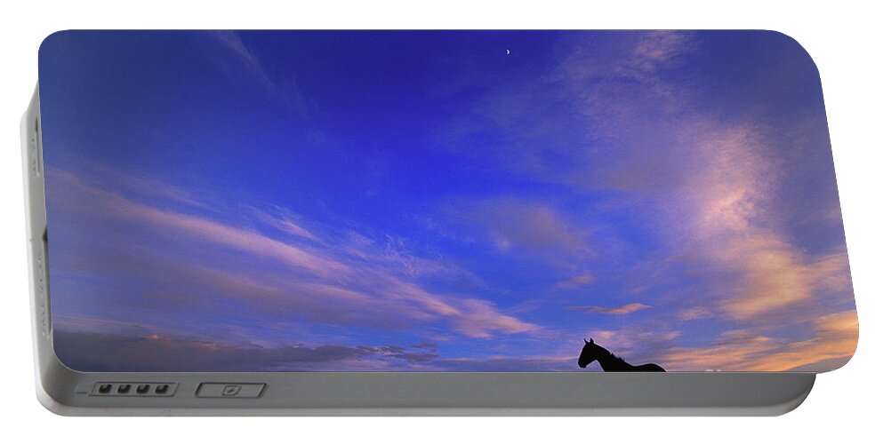 00340182 Portable Battery Charger featuring the photograph Mustangs and Evening Sky by Yva Momatiuk John Eastcott
