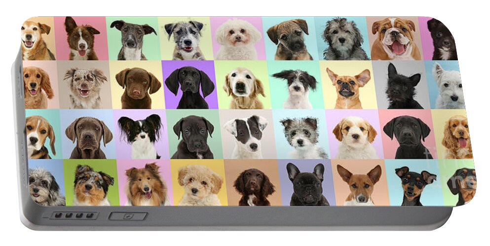 Dogs Portable Battery Charger featuring the photograph Mutt Parade by Warren Photographic