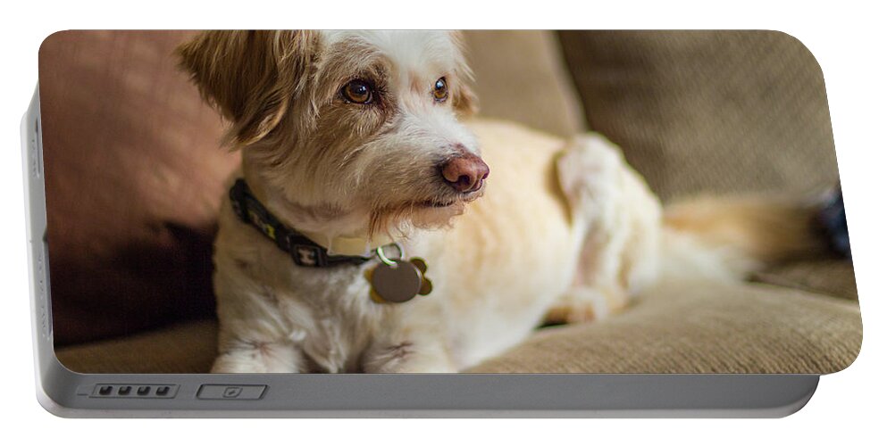 Dog Portable Battery Charger featuring the photograph My Best Friend by Ed Clark