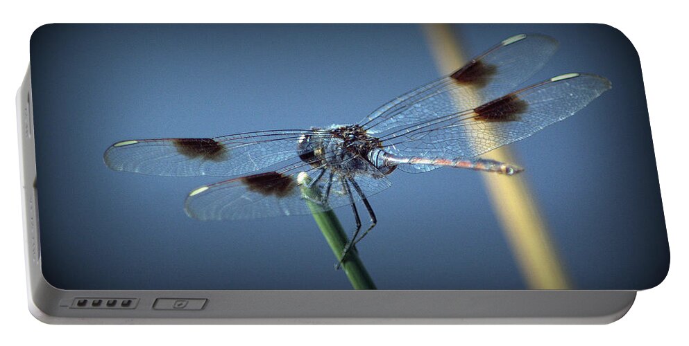  Portable Battery Charger featuring the photograph My Favorite Dragonfly by Kimberly Woyak