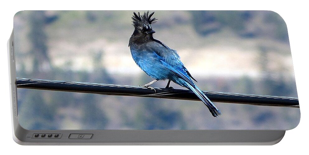 Steller's Jay Portable Battery Charger featuring the photograph My Hairdo Malfunctioned by Will Borden