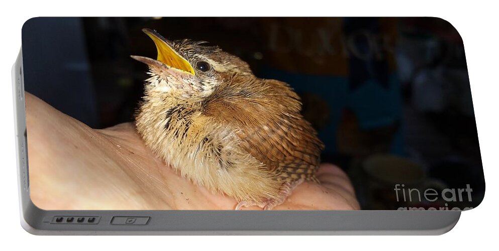 Bird Portable Battery Charger featuring the photograph My Special Friend by Donna Brown