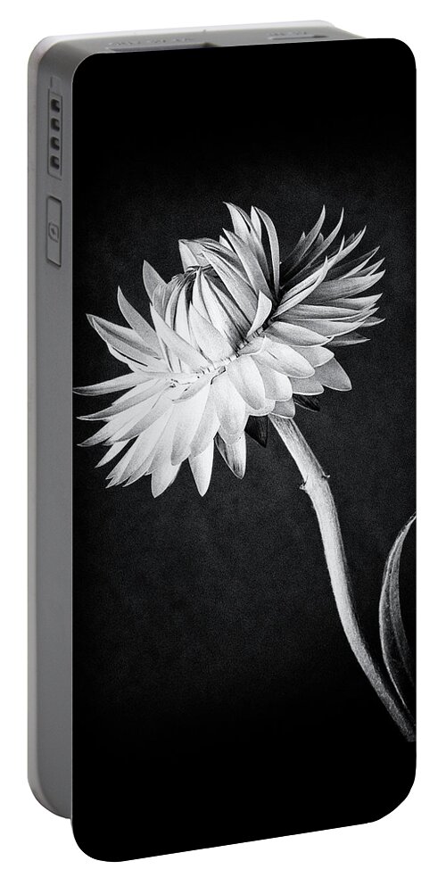 Floral Portable Battery Charger featuring the photograph My Straw Hat by Dianna Lynn Walker
