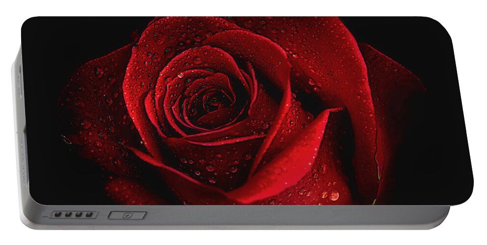 Roses Portable Battery Charger featuring the photograph Mysterious by Elaine Malott