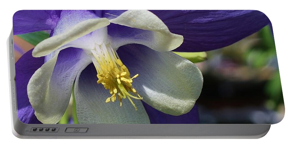 Flora Portable Battery Charger featuring the photograph Mystical Beauty by Bruce Bley