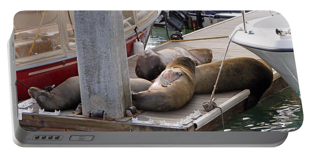 Sea Lion Portable Battery Charger featuring the photograph Nap Time by Shoal Hollingsworth