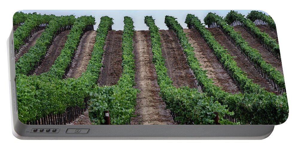 Napa Portable Battery Charger featuring the photograph Napa Vineyards by Judy Wolinsky