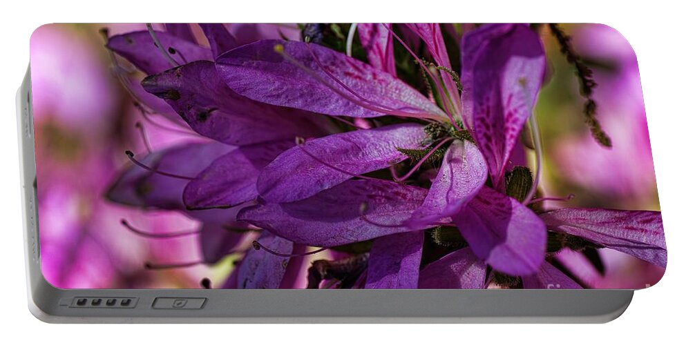 Azalea Photography Portable Battery Charger featuring the photograph Native Long Petals by Diana Mary Sharpton
