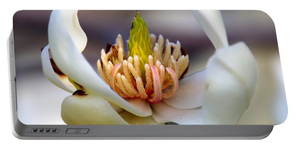 Floral Portable Battery Charger featuring the photograph Natural Beauty by Debbie Nobile