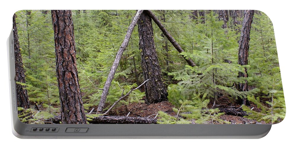 Nature Portable Battery Charger featuring the photograph Natural Peace in the Woods by Ben Upham III
