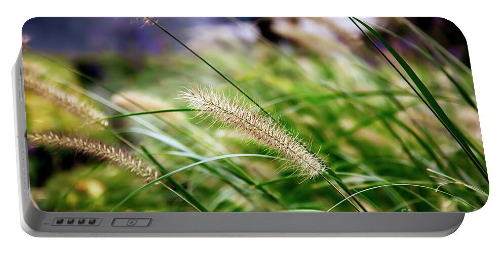 Nature Portable Battery Charger featuring the photograph Nature Background by Ariadna De Raadt