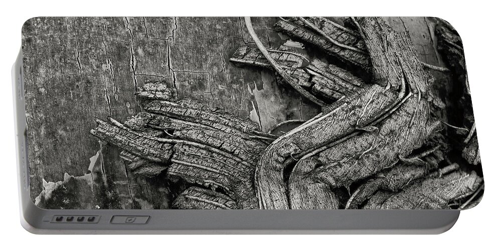 Wall Art Portable Battery Charger featuring the photograph Natures Abstract by Kelly Holm