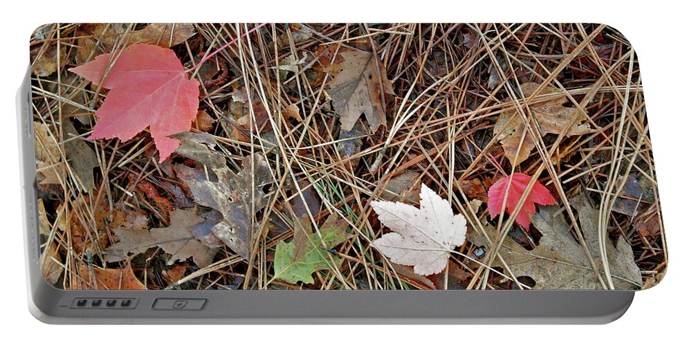 Bille Park Portable Battery Charger featuring the photograph Nature's Collage by Michele Myers