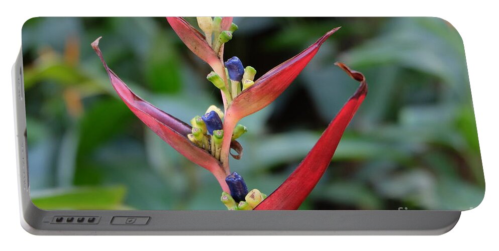 Nature Portable Battery Charger featuring the photograph Nature's Creation by Mini Arora