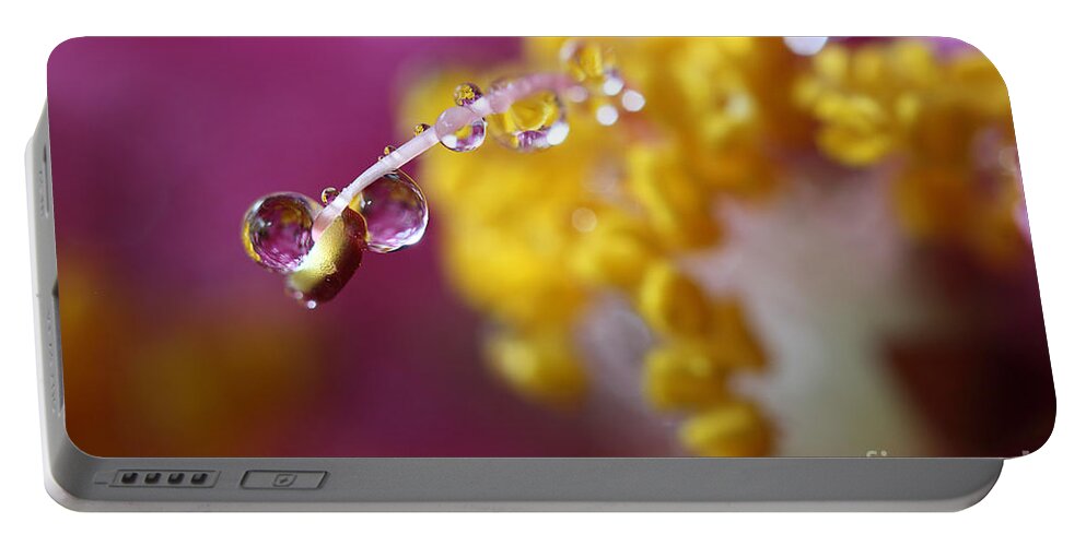 Water Drops Portable Battery Charger featuring the photograph Natures Secrets Hide Among The Droplets by Mike Eingle