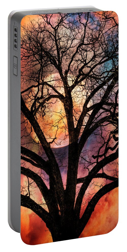 Appalachia Portable Battery Charger featuring the photograph Nature's Stained Glass by Debra and Dave Vanderlaan
