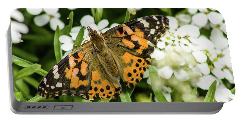Wings. Nature Portable Battery Charger featuring the photograph Natures Wings by Steven Parker