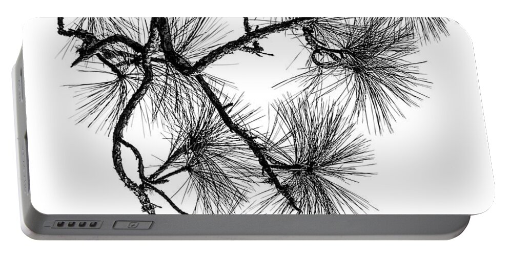 Nature Portable Battery Charger featuring the photograph Needles II by Robert Mitchell