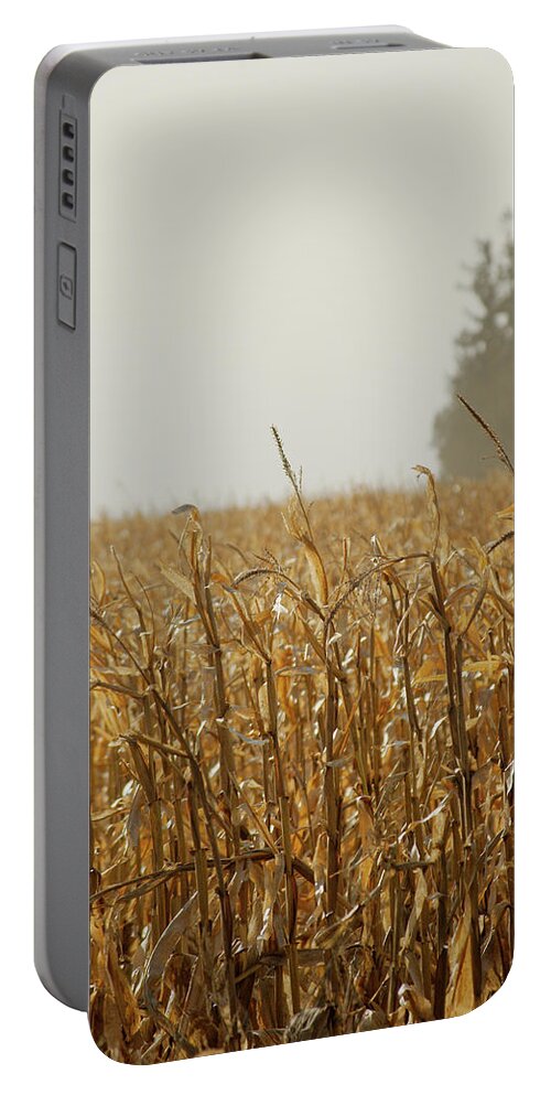 Pines Portable Battery Charger featuring the photograph Neighborhood Pines by Troy Stapek
