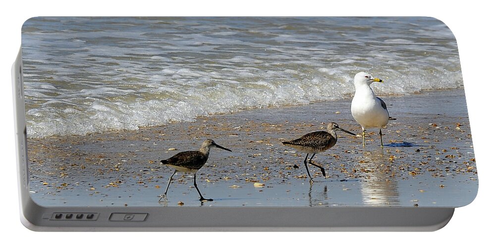 Birds Portable Battery Charger featuring the photograph Outer Banks OBX #11 by Buddy Morrison