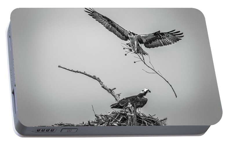 Screensaver Portable Battery Charger featuring the photograph Nest Building 2M by Gregory Daley MPSA
