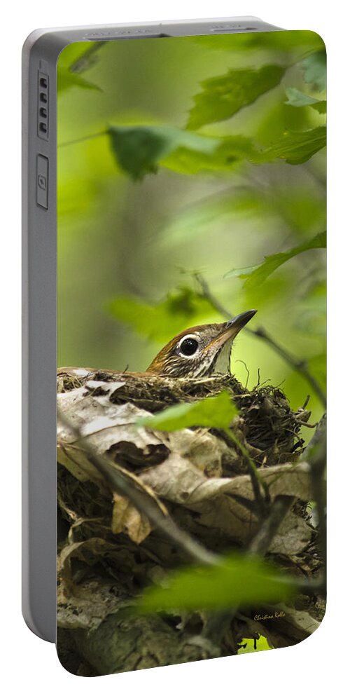 Wood Thrush Portable Battery Charger featuring the photograph Wood Thrush Nest by Christina Rollo