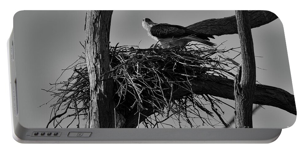 Brown Kite Portable Battery Charger featuring the photograph Nesting V2 by Douglas Barnard