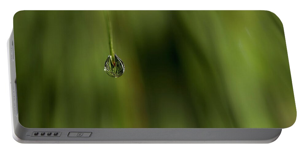Water Drop Portable Battery Charger featuring the photograph Never Let Go by Mike Eingle