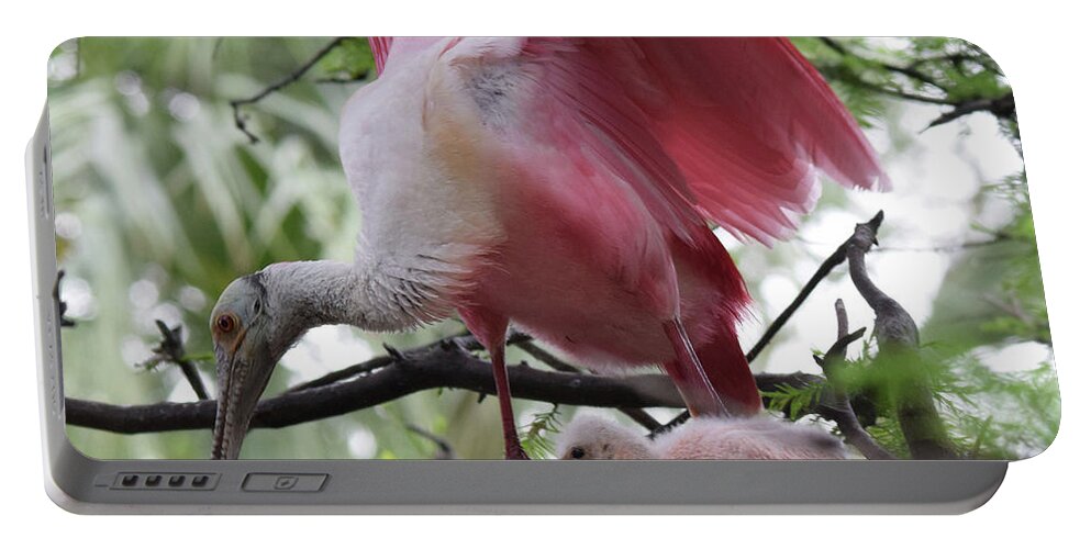 Roseate Spoonbill Portable Battery Charger featuring the photograph New Life by Jim Bennight