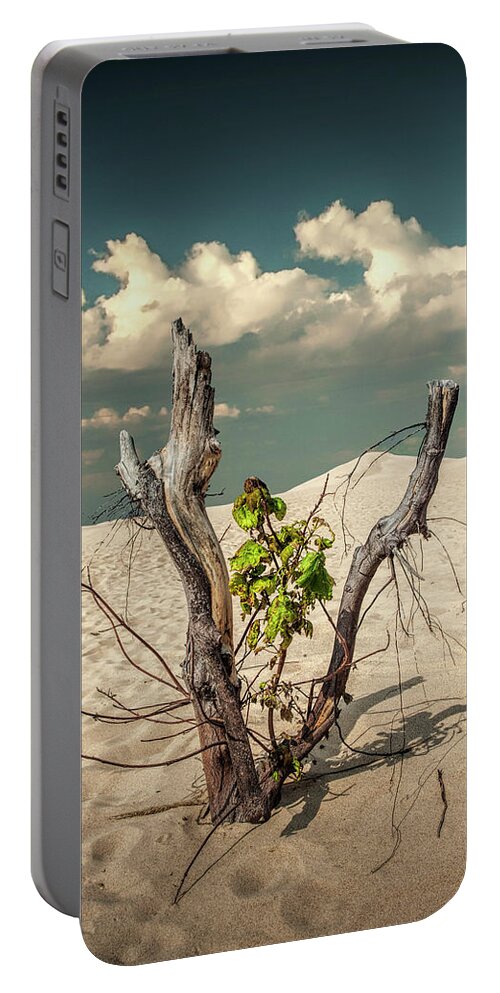 Art Portable Battery Charger featuring the photograph New Life Sprouting with Dead Trees and Cloudy Sky by Randall Nyhof