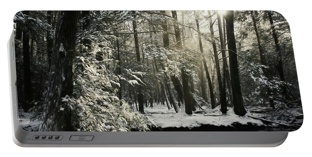 Snow Portable Battery Charger featuring the photograph New Years Snowfall by Lori Deiter