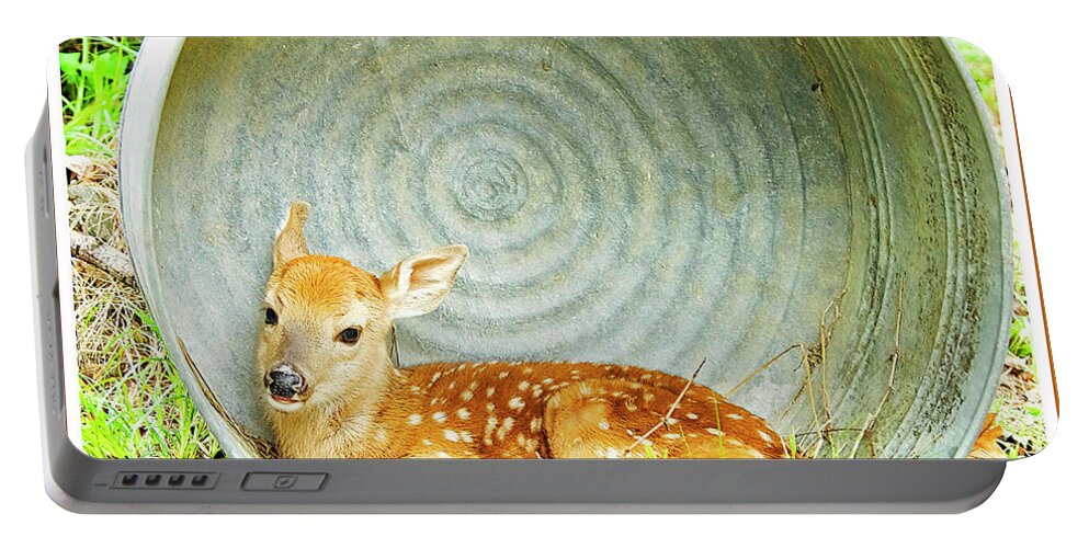 Fawn Portable Battery Charger featuring the photograph Newborn Fawn finds Shelter in an Old Washtub by A Macarthur Gurmankin