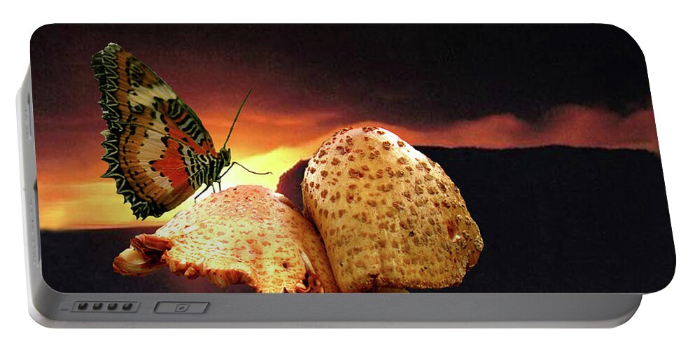 Butterfly Portable Battery Charger featuring the photograph Night Fall by Donna Brown