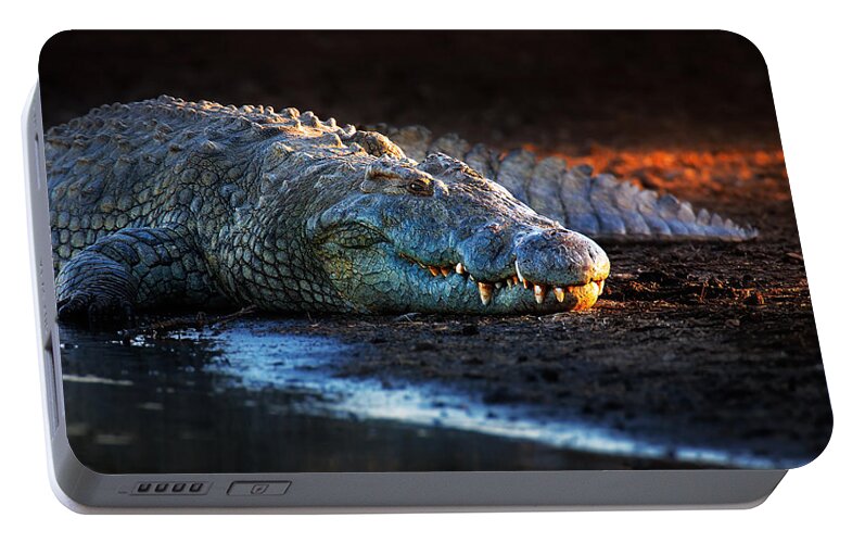 Crocodile Portable Battery Charger featuring the photograph Nile crocodile on riverbank-1 by Johan Swanepoel