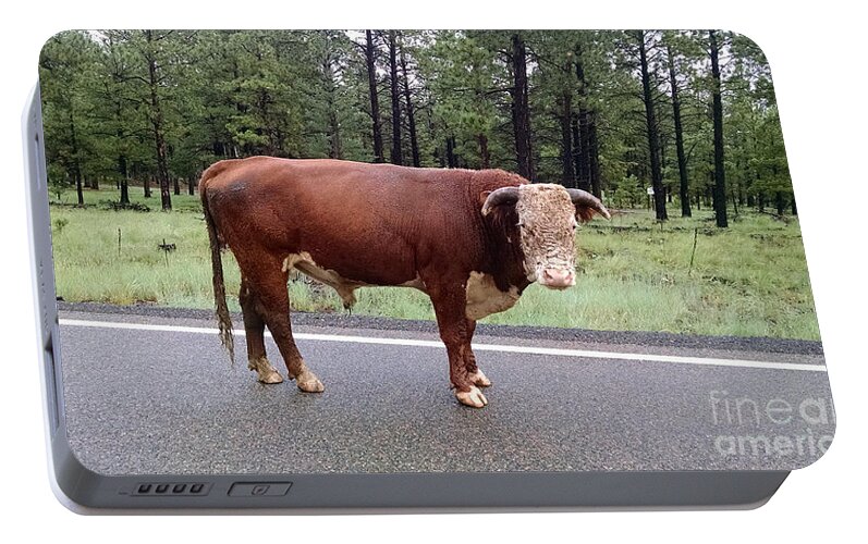 Bull Portable Battery Charger featuring the photograph No Bull by Roberta Byram