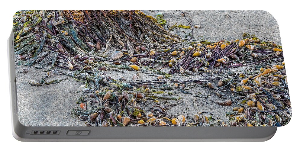 Cayucos Portable Battery Charger featuring the photograph Cayucos State Beach Flotsam Abstract by Patti Deters