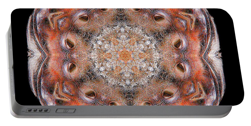 Mandala Portable Battery Charger featuring the photograph Nocturnus Inner Madness 2 by Wernher Krutein