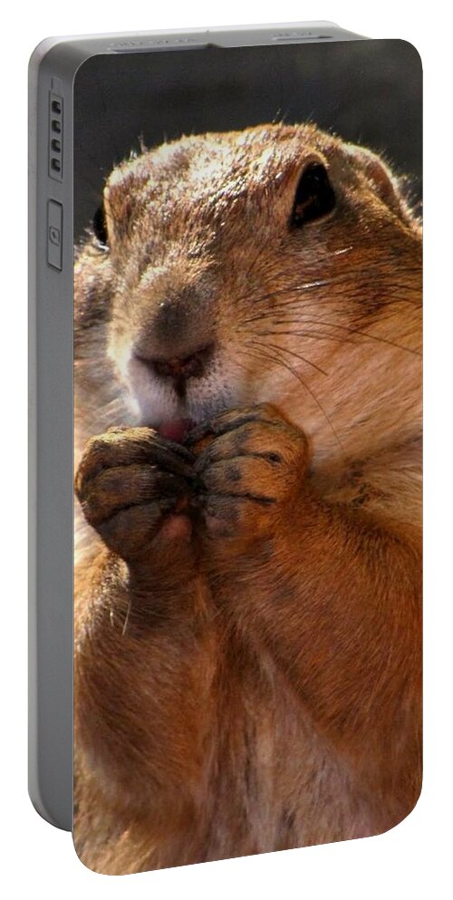 Prairie Dogs Portable Battery Charger featuring the photograph Snacking Prairie Dog by Lori Lafargue