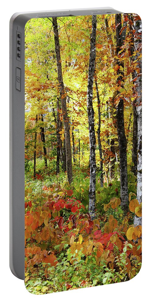 Photography Portable Battery Charger featuring the photograph North Woods Trees #6 by Brett Pelletier