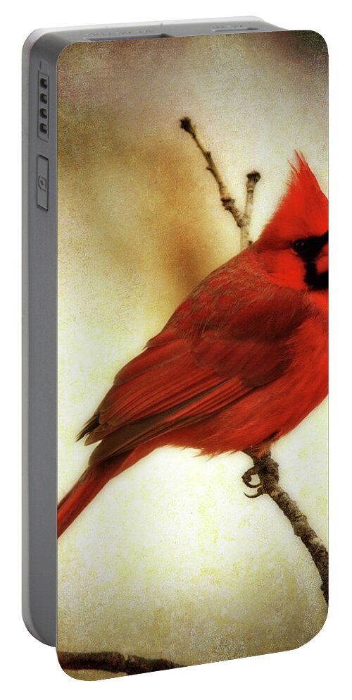 backyard Birds Portable Battery Charger featuring the photograph Northern Cardinal by Lana Trussell