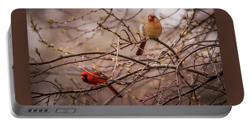 Terry D Photography Portable Battery Charger featuring the photograph Northern Cardinal Pair in Spring by Terry DeLuco