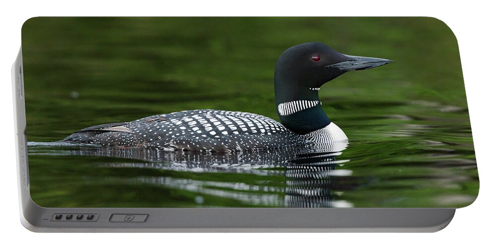 Bird Portable Battery Charger featuring the photograph Northwoods Loon by Jody Partin