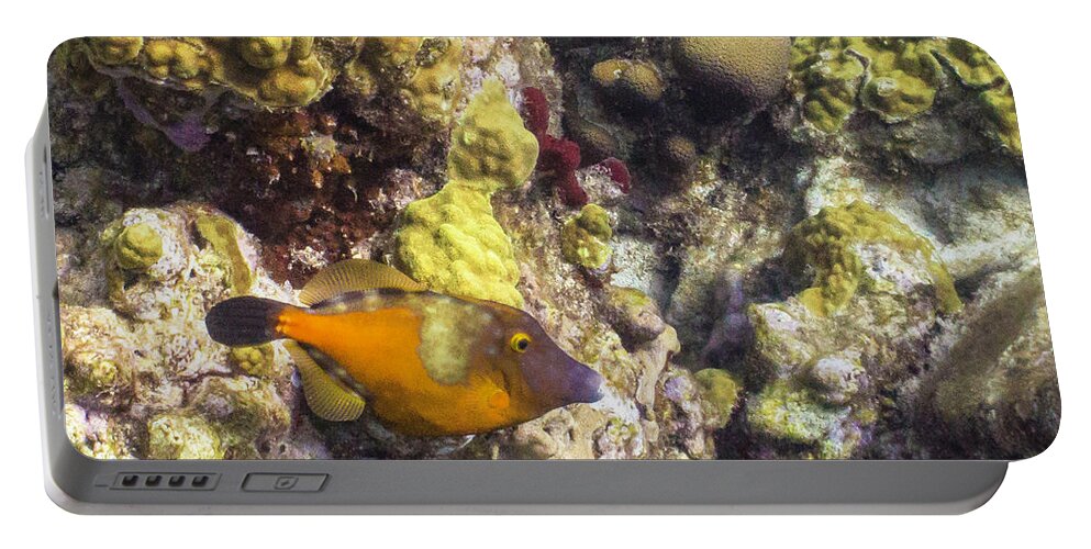 Ocean Portable Battery Charger featuring the photograph Not A Clown by Lynne Browne