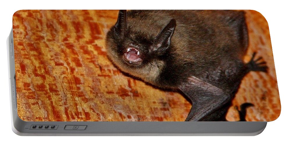 Bat Portable Battery Charger featuring the photograph Not a Pretty Picture by Stacie Gary