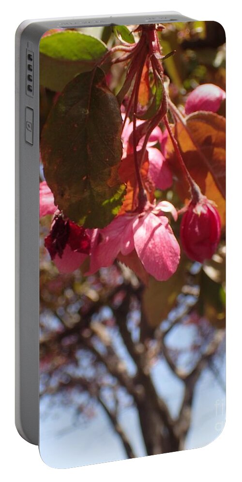Flowers Portable Battery Charger featuring the photograph Not Far from the Tree by Christina Verdgeline