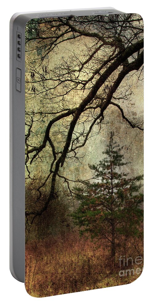 Pine Tree Portable Battery Charger featuring the photograph November Mood by Michael Eingle