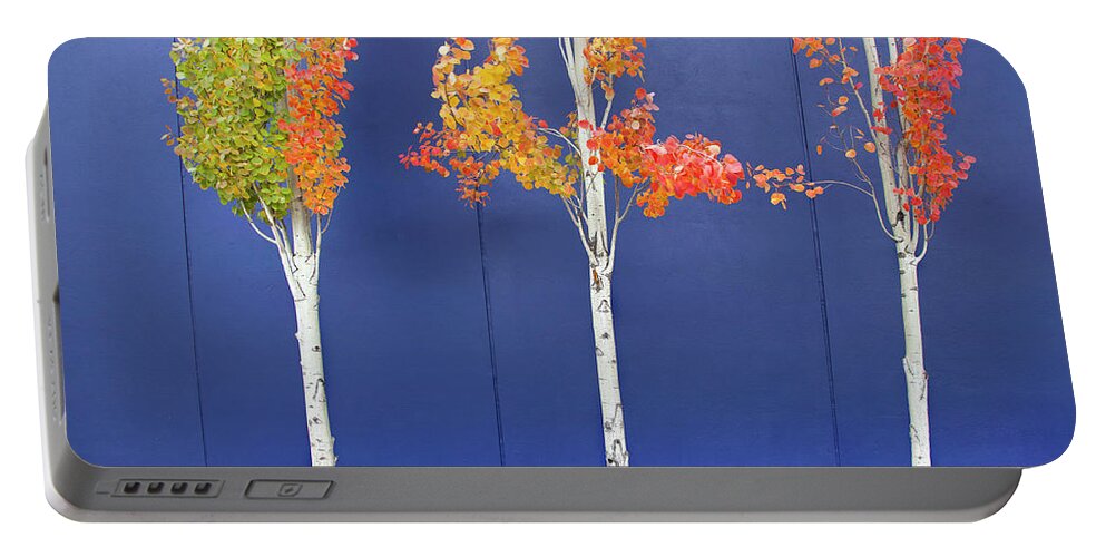 Autumn Portable Battery Charger featuring the photograph Now Showing by Theresa Tahara