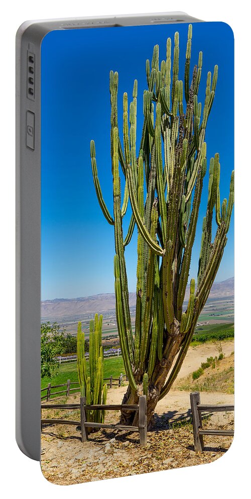 California Portable Battery Charger featuring the photograph Now That's a Cactus by Derek Dean