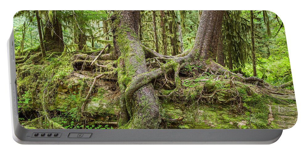 Hall Of Mosses Portable Battery Charger featuring the photograph Nurse Tree in Olympic National Park by Bryan Mullennix
